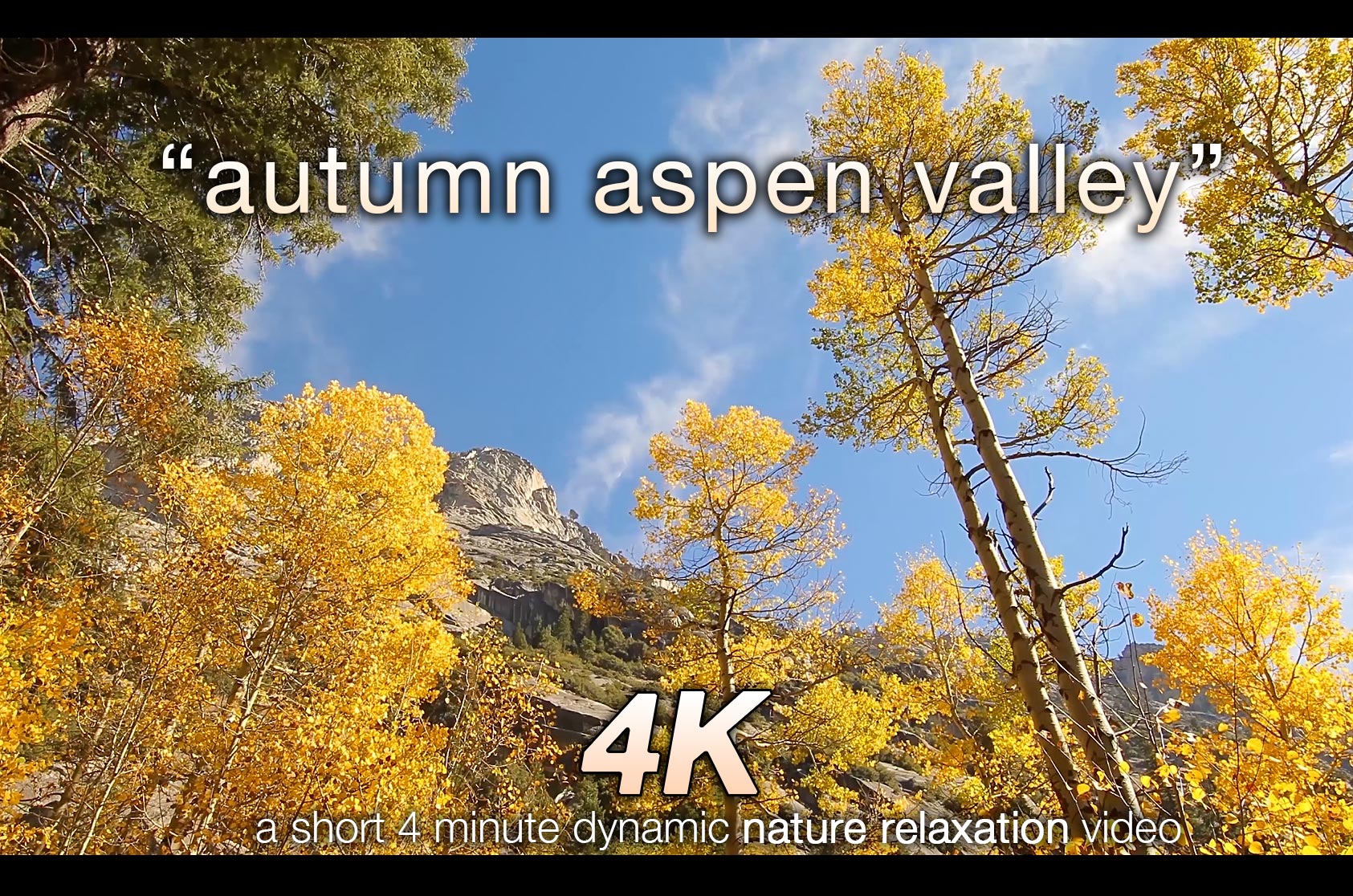 Autumn Aspen Valley Relaxation 10 MIN Music + Nature Video 4K