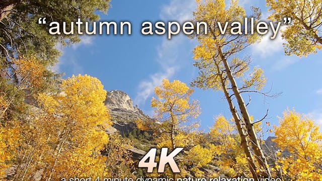 Autumn Aspen Valley Relaxation 10 MIN...