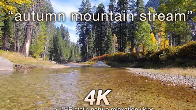 Autumn Mountain Stream 1 HR  Static N...