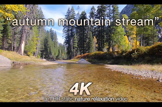 Autumn Mountain Stream 1 HR  Static Nature Video