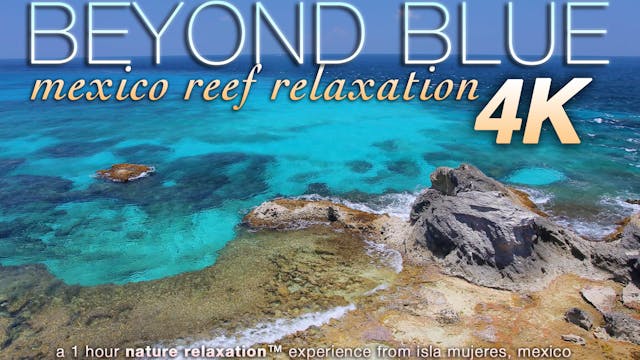 Beyond Blue (Just Nature Sounds) Mexi...