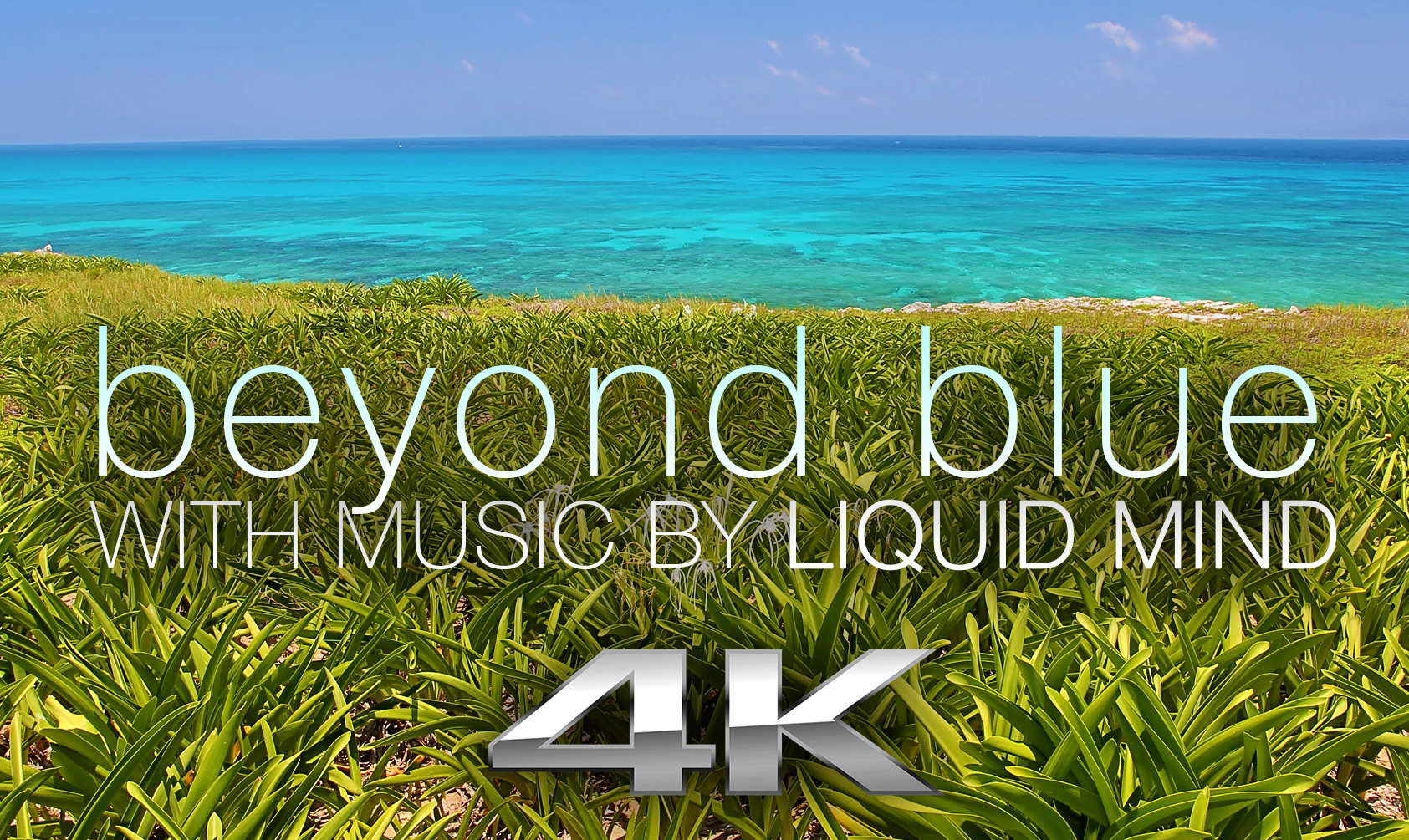 Beyond Blue: Mexico Reef Relaxation w MUSIC 1 HR Dynamic Video