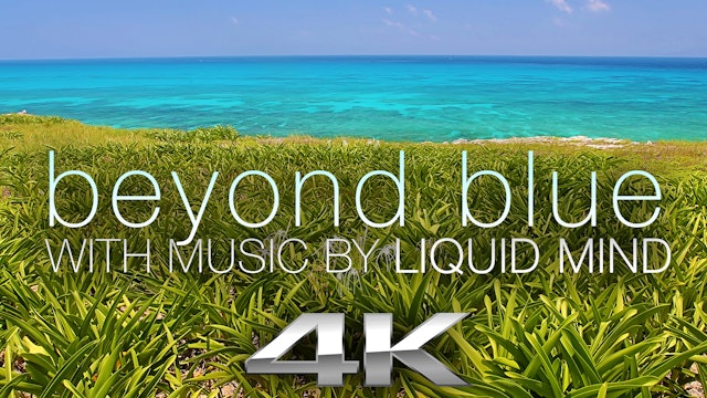 Beyond Blue: Mexico Reef Relaxation w MUSIC 1 HR Dynamic Video
