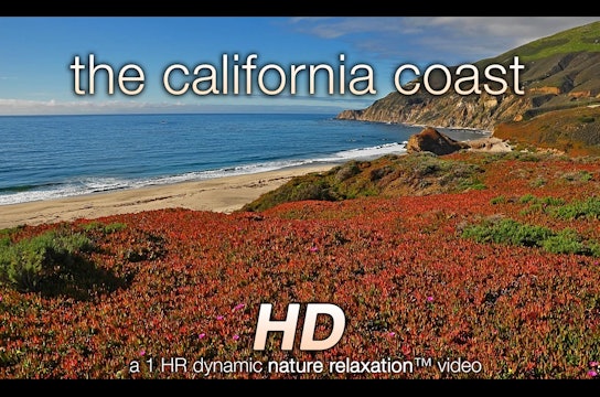 The California Coast (Music Version) 1 HR Dynamic Video