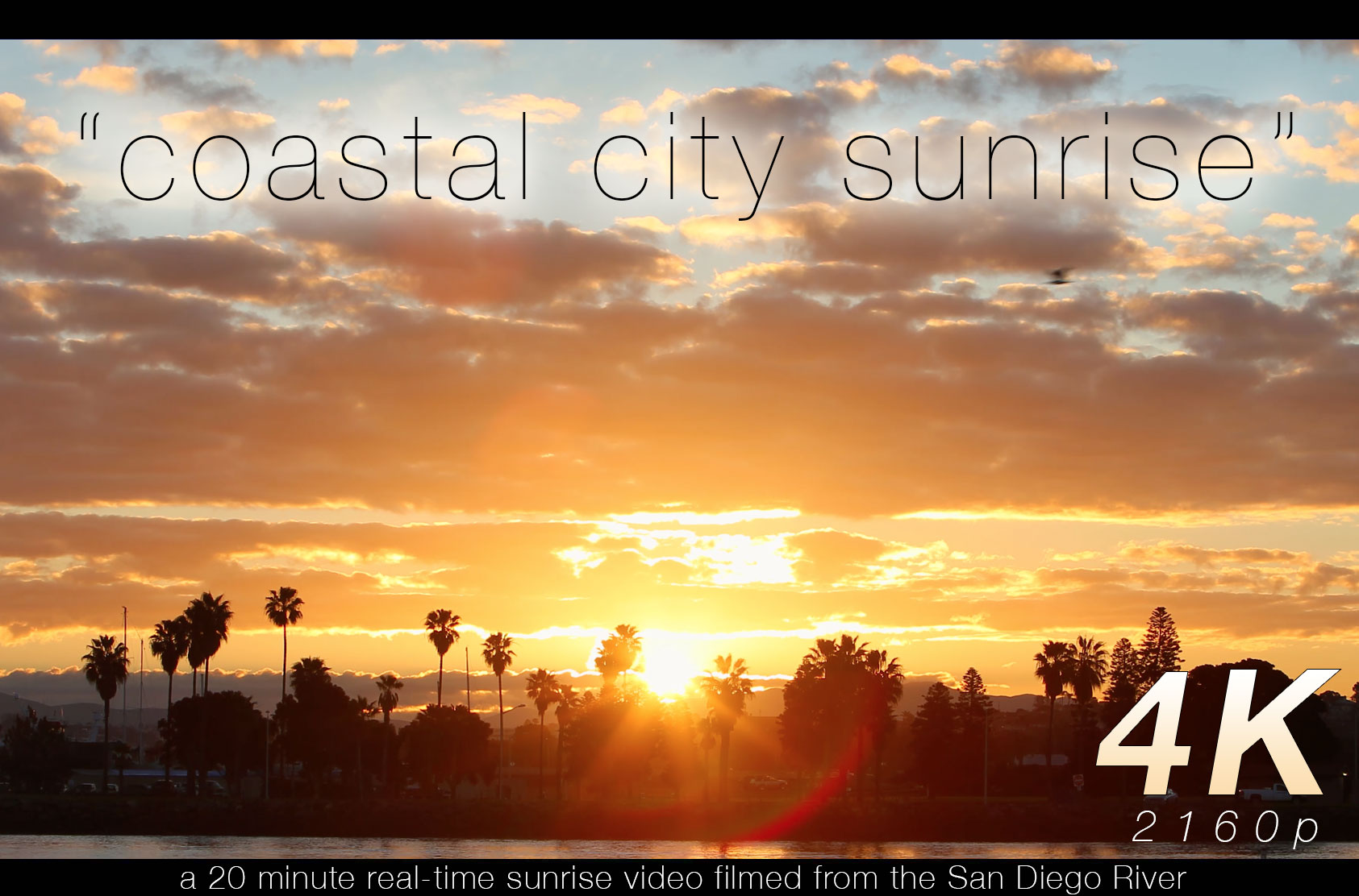 Coastal City Sunrise 20 Minute Nature Video HD