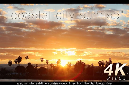 Coastal City Sunrise 20 Minute Nature...