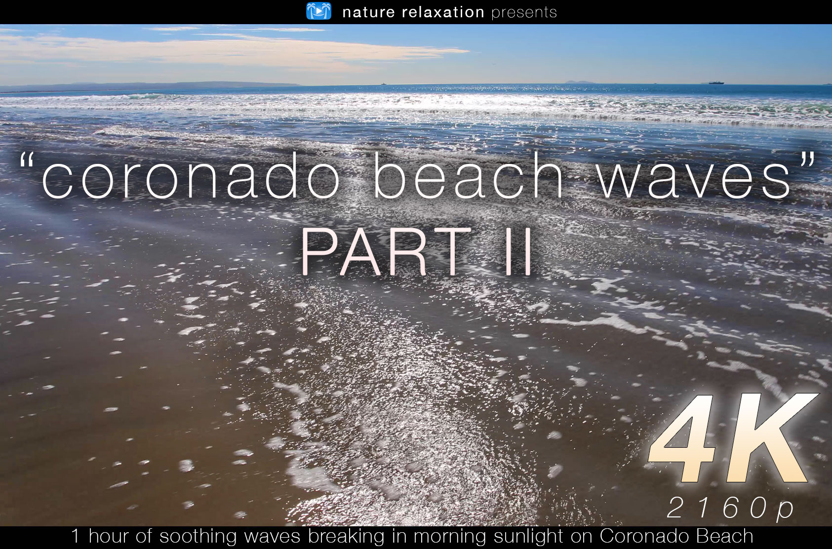 Coronado Beach Waves Part II 1 HR Static Nature Relaxation Video