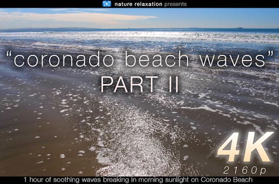 Coronado Beach Waves Part II 1 HR Sta...