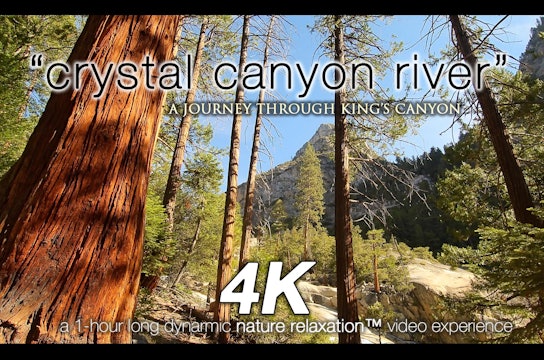 Crystal Canyon River NATURE SOUNDS 1 HR Dynamic Nature Relaxation Video