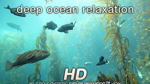 Deep Ocean Relaxation ©Nature Relaxation Video 1080p