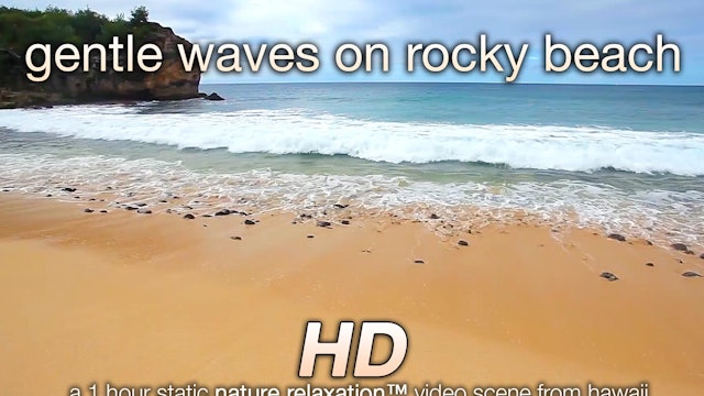Gentle Waves on Rocky Beach 1 Hr Nature Relaxation Video 1080p