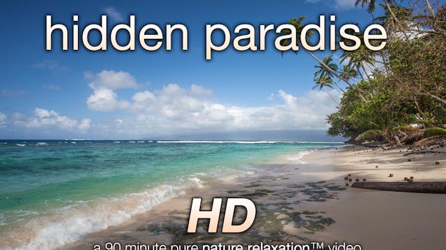 Hidden Paradise 90 Minute Dynamic Nat...