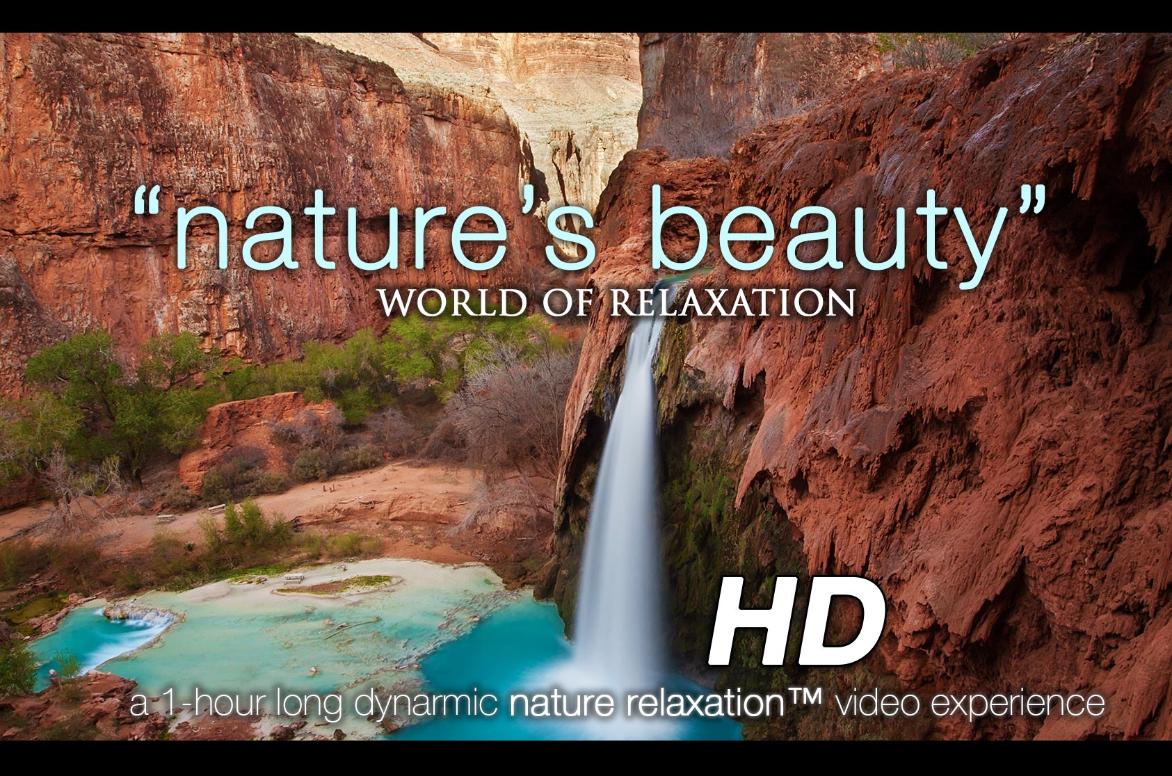 Nature's Beauty 1 HR Dynamic Nature Relaxation Video w Music
