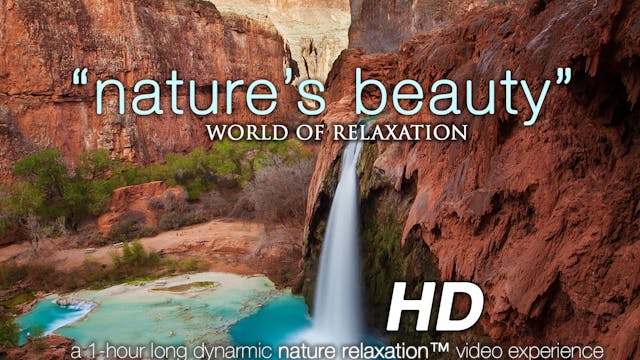 Nature's Beauty 1 HR Dynamic Nature R...