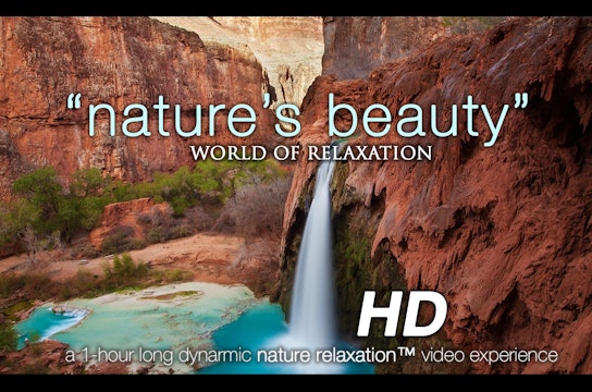 Nature's Beauty 1 HR Dynamic Nature Relaxation Video w Music