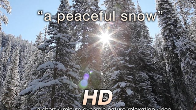 A Peaceful Snow Short 4 MIN Winter Mu...