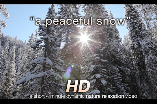 A Peaceful Snow Short 4 MIN Winter Music Video HD 1080p
