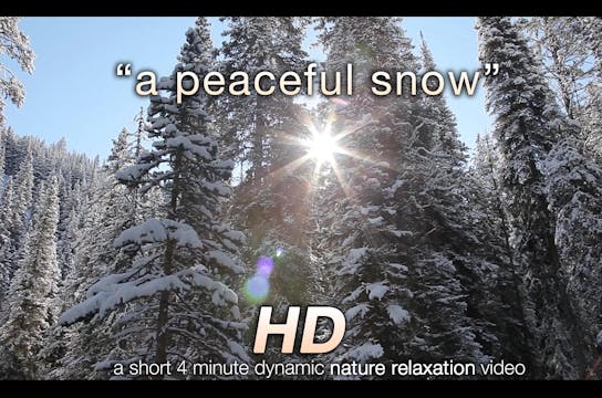 A Peaceful Snow Short 4 MIN Winter Mu...