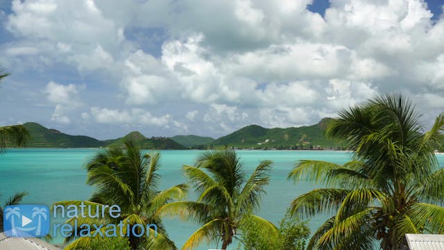 Tropical Lagoon Vista 1 HR Static Sce...