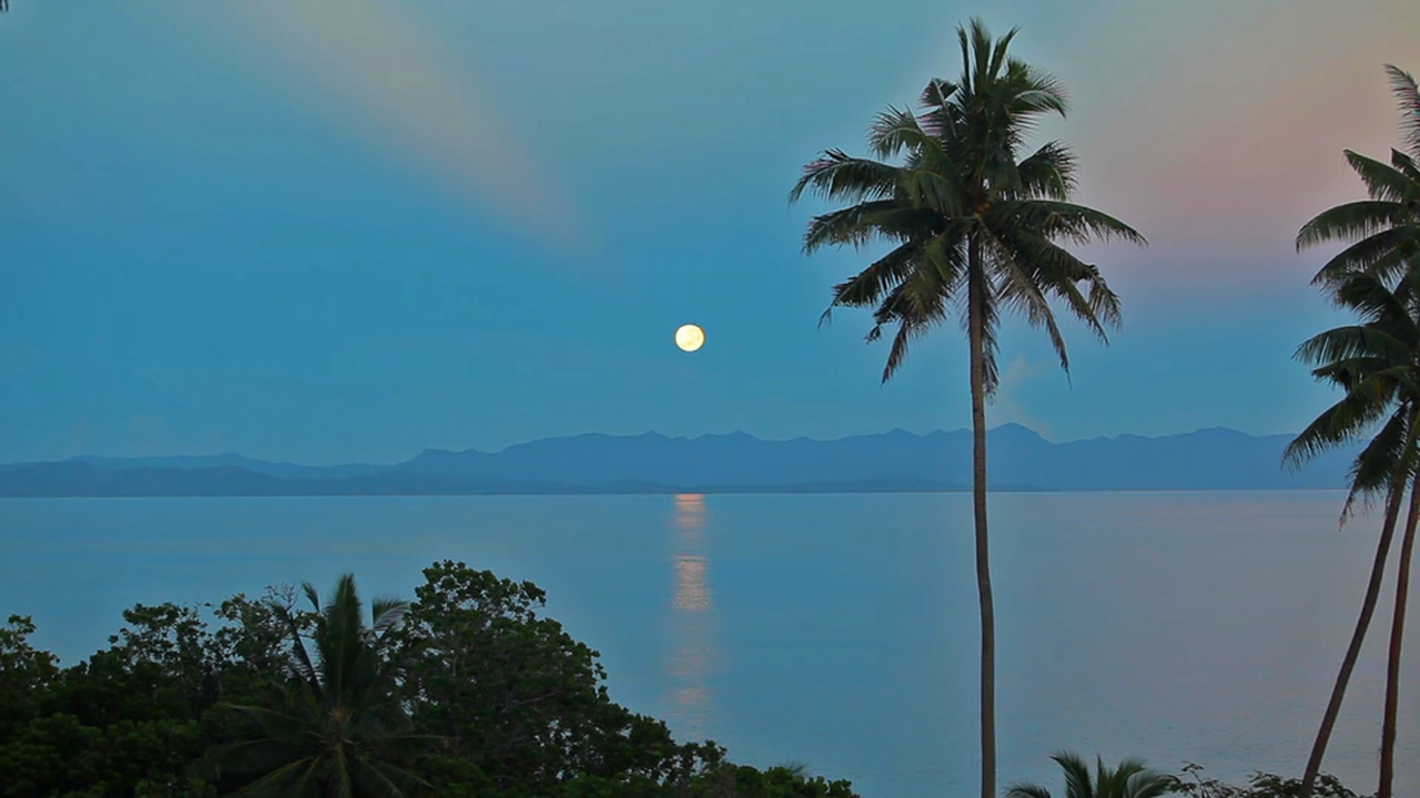 Moon of Heaven (Nature Sounds) 12 Min Static Nature Scene