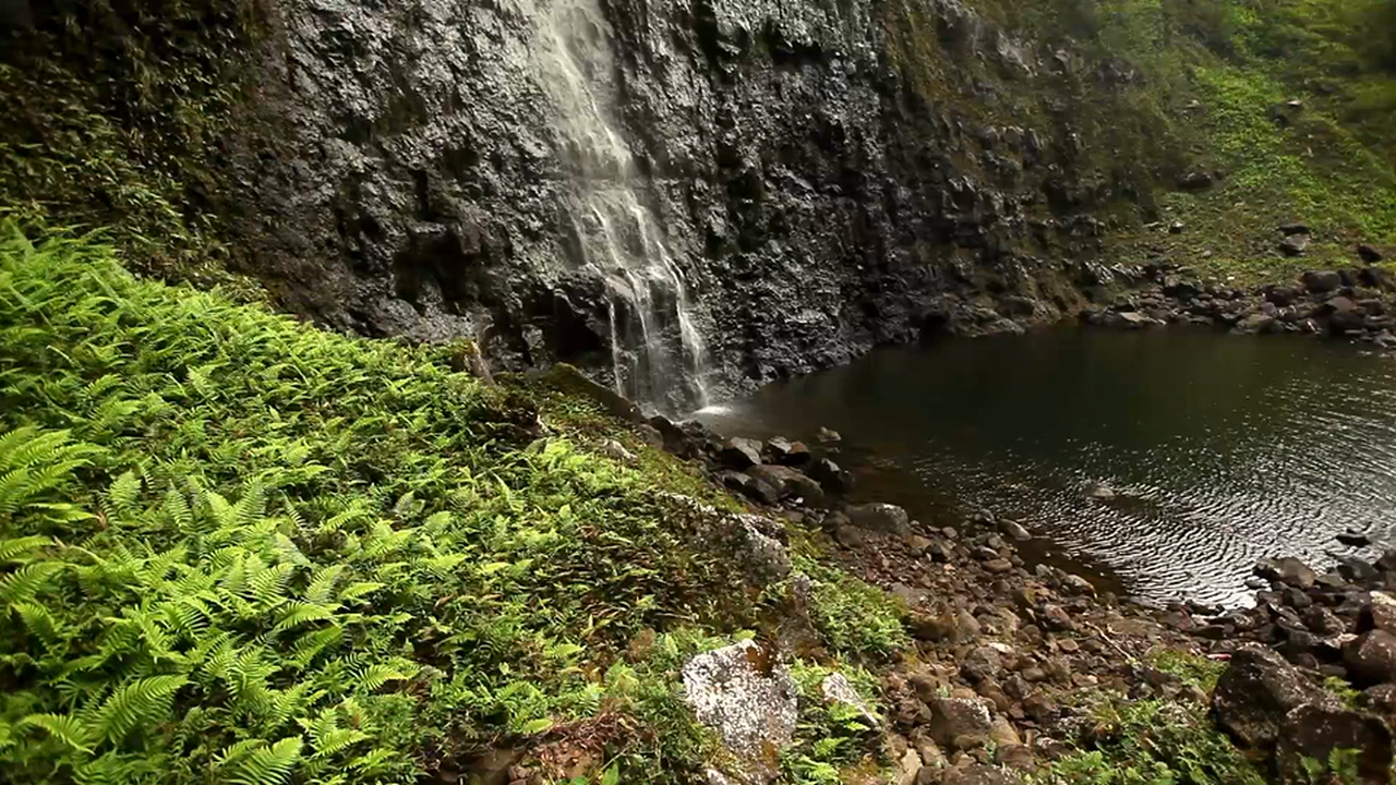 Mystical Falls 1 HR Static Nature Video