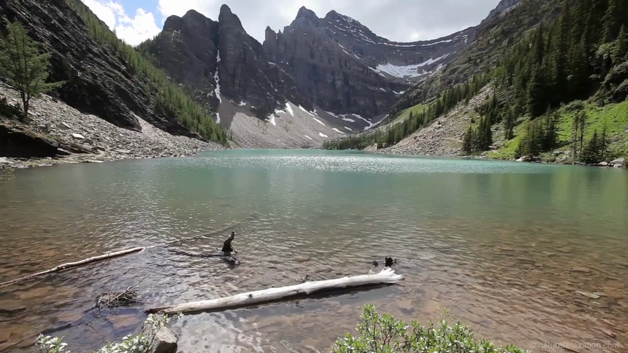 Nature Relaxation Journey 1 HR Dynamic Nature Video