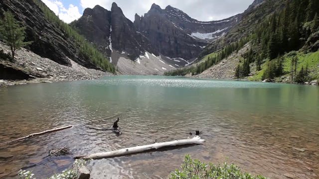 Nature Relaxation Journey 1 HR Dynami...