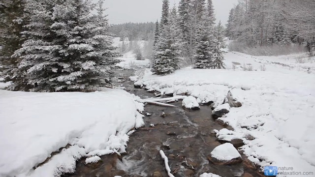 Peaceful Mountain Snow (Classic Version) 1 HR Dynamic Video