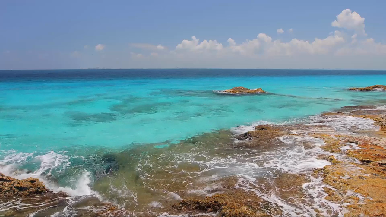 Tropical Reef Waves 1 HR Static Nature Video