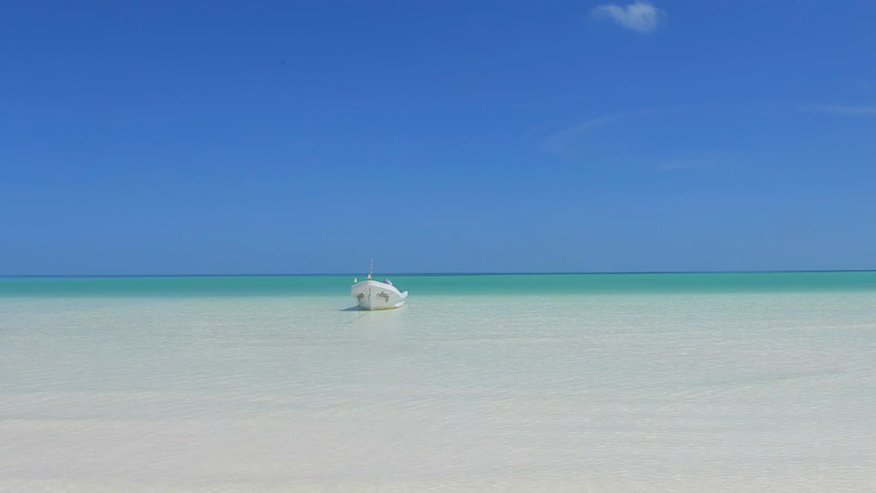 Birds on a Boat in Paradise 1080p v2