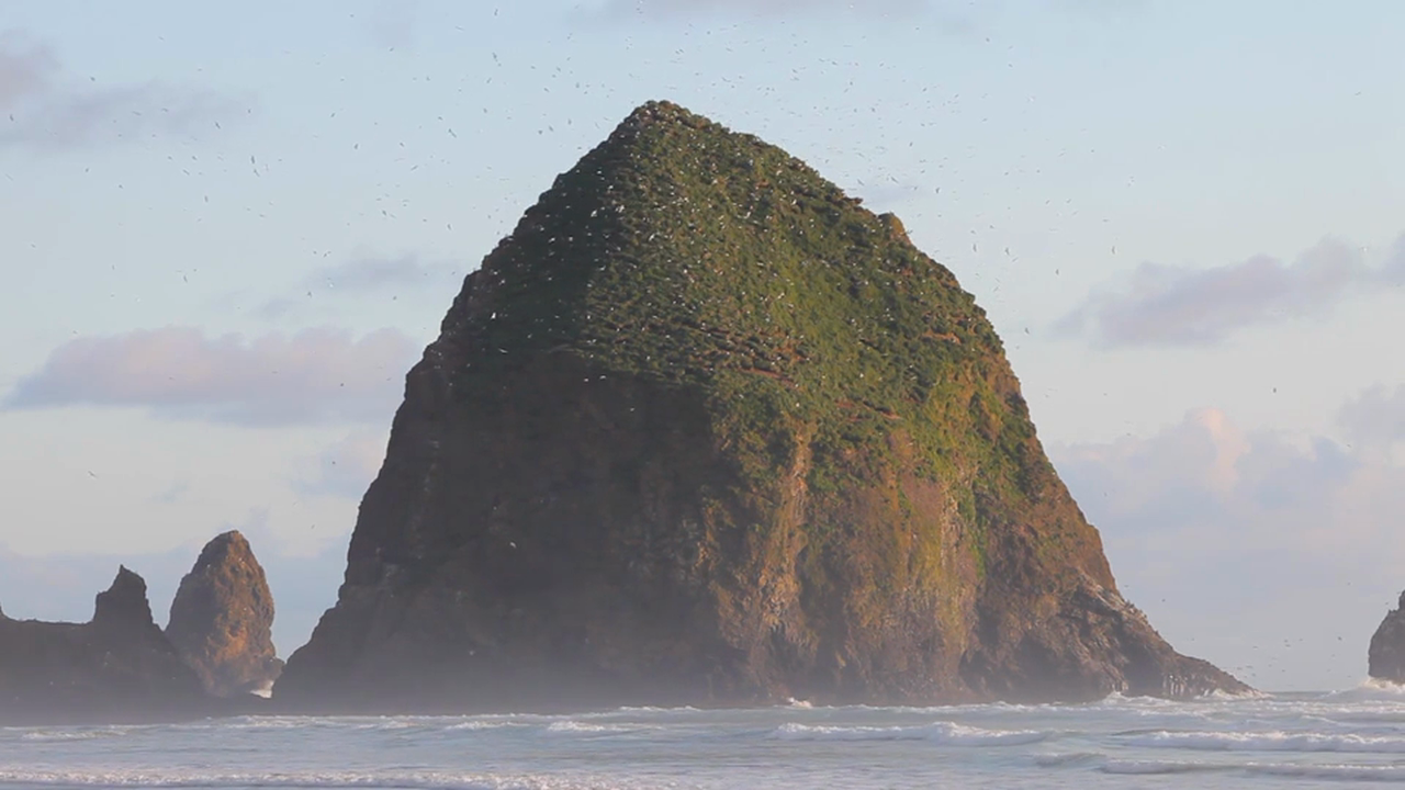 Cannon Beach Birds 1080p V2