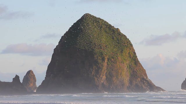 Cannon Beach Birds 1080p V2