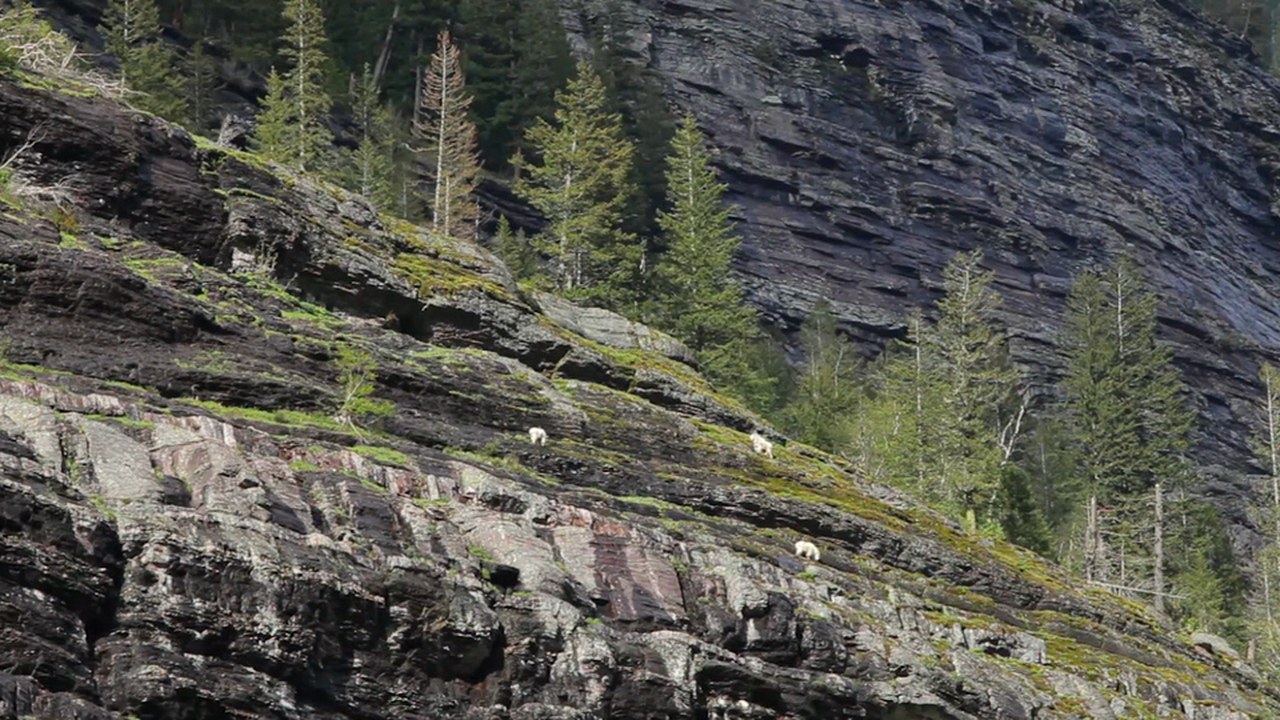 Distant Mountain Fall & Goats music 1080p