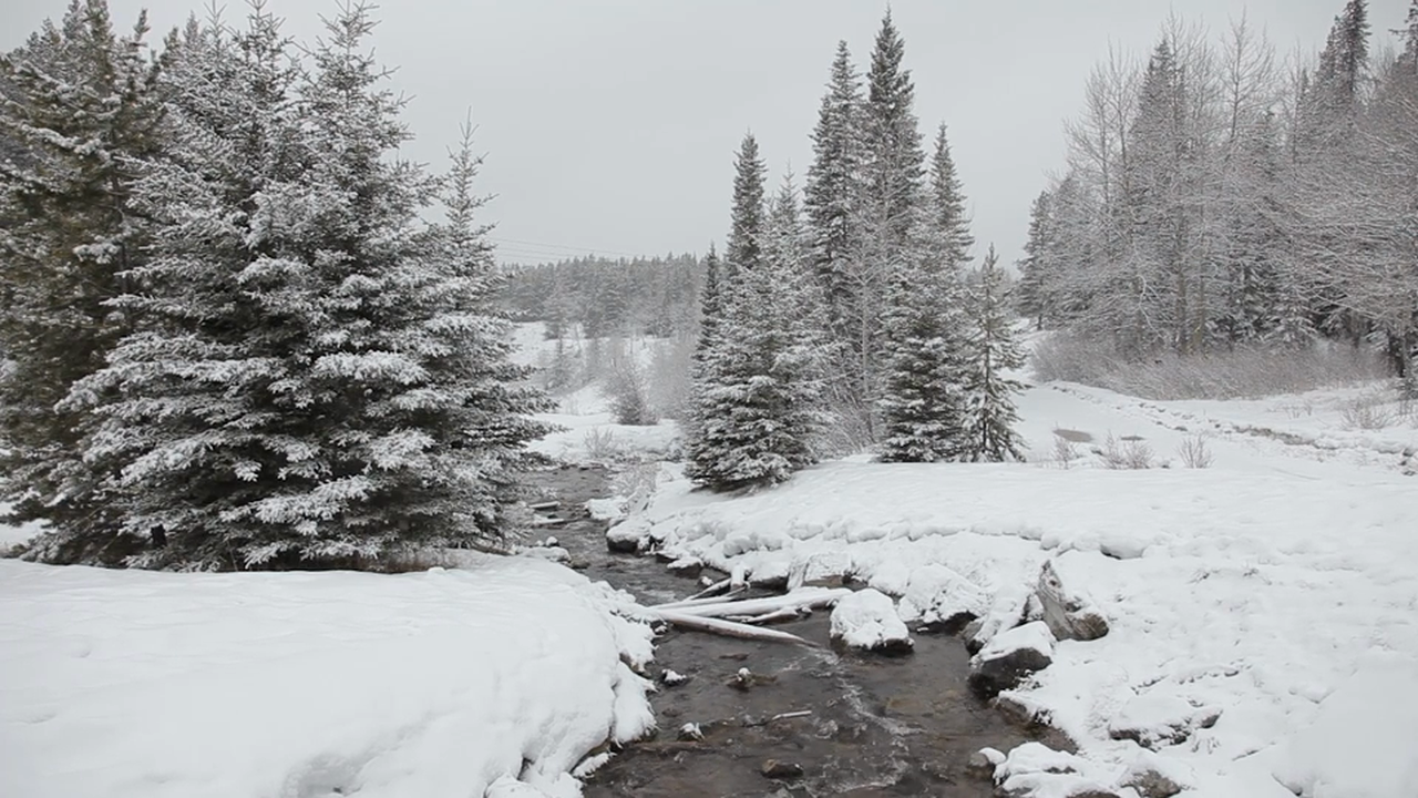 Mountain Snowstorm 1080p