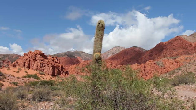 Red Rock Canyon Winds 1 HR Static Nature Relaxation Scene from Argentina 4K