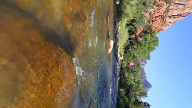 Vertical Video: Zion's Virgin River F...
