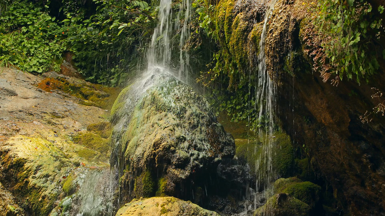 Flowing Forest Spring 1 HR Fixed Angle Nature Video Scene in 4K