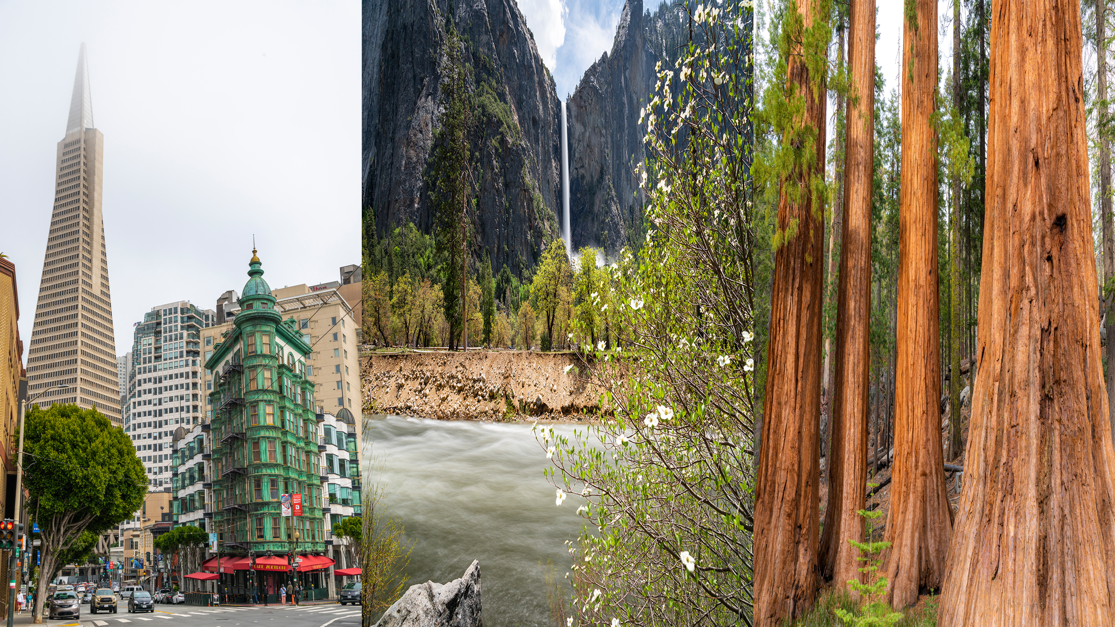 Vertical Nature Therapy Films Videos