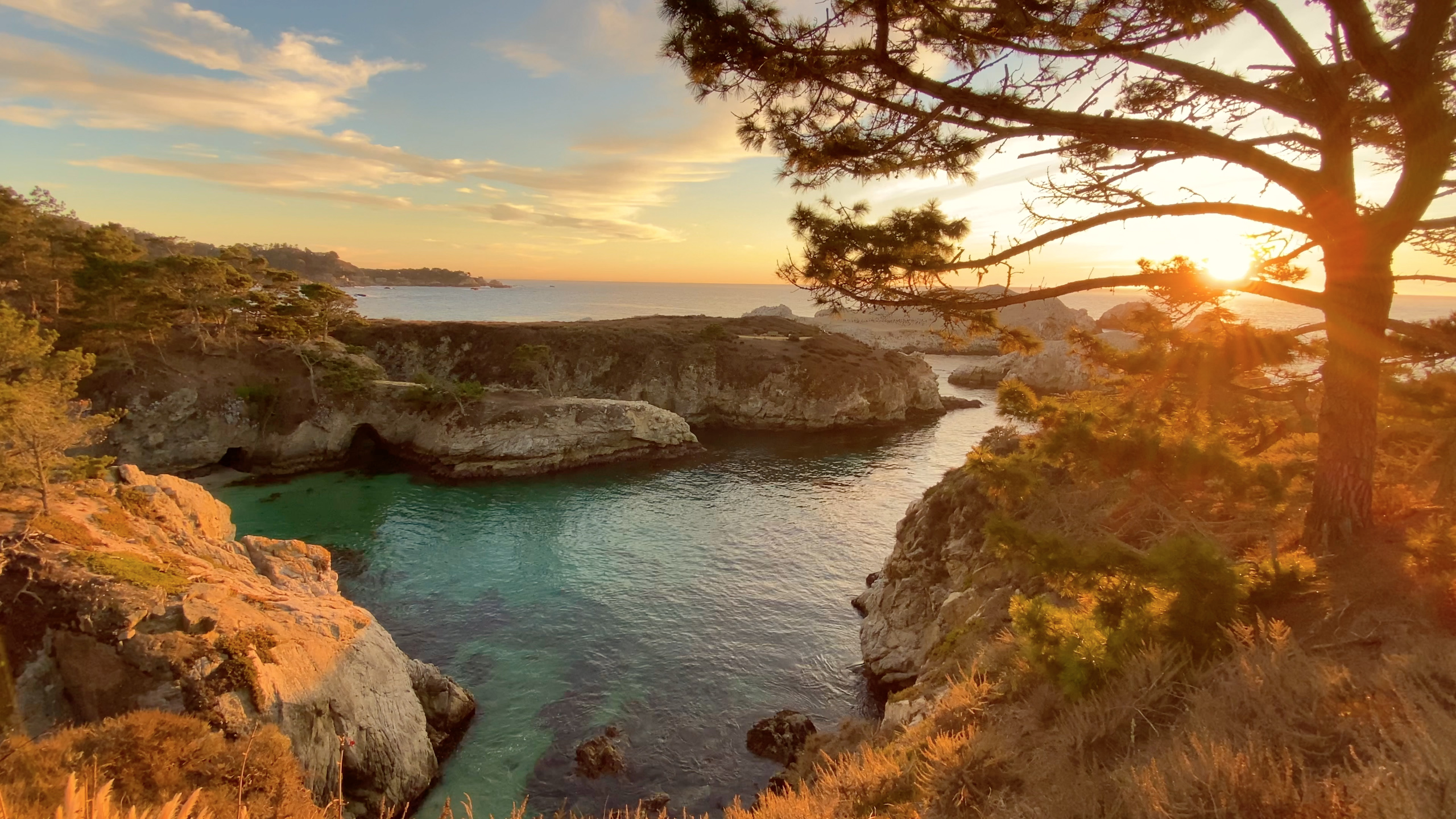 Beautiful Beach Point Lobos State Park