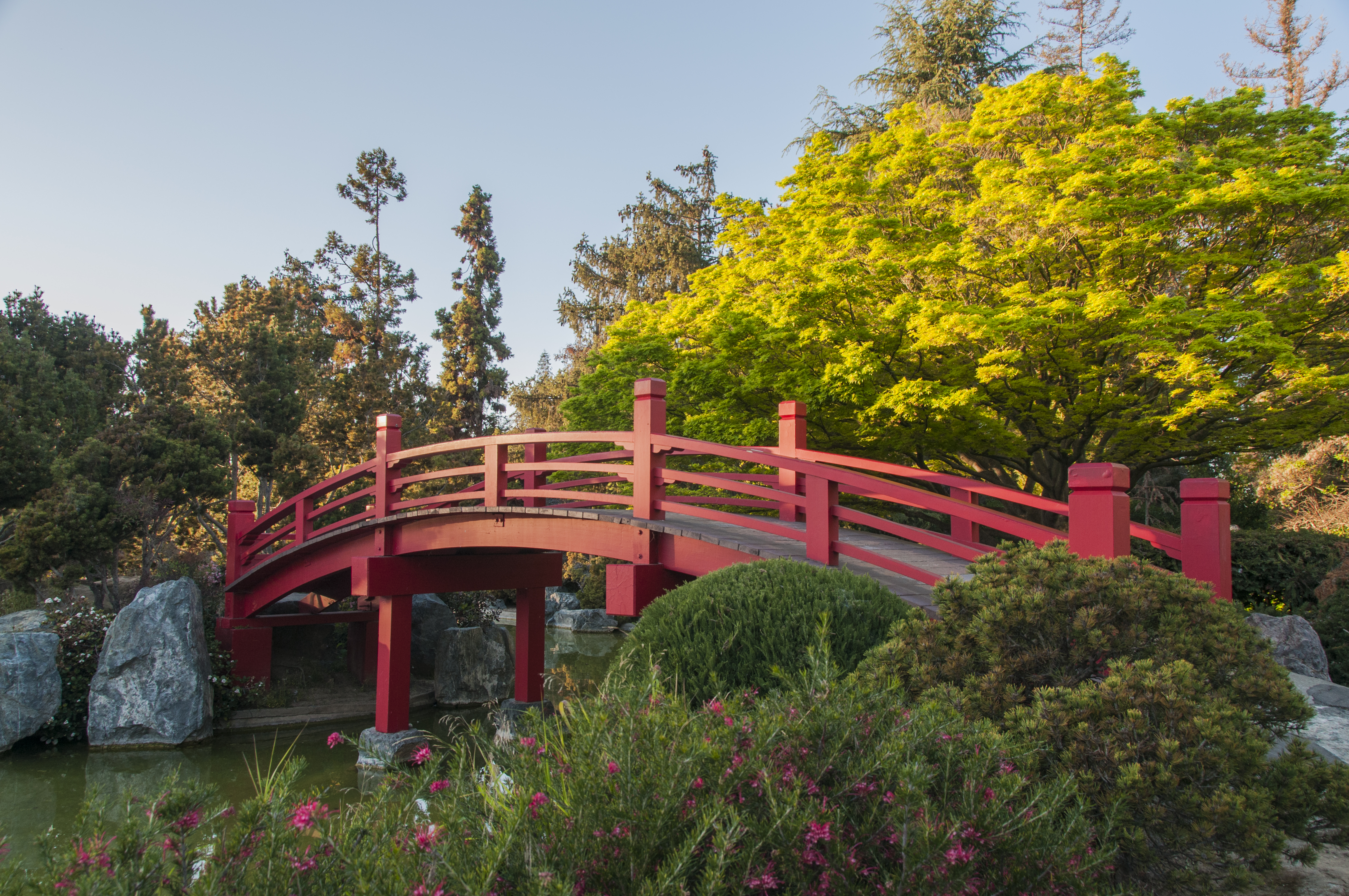 Short Videos (without music)