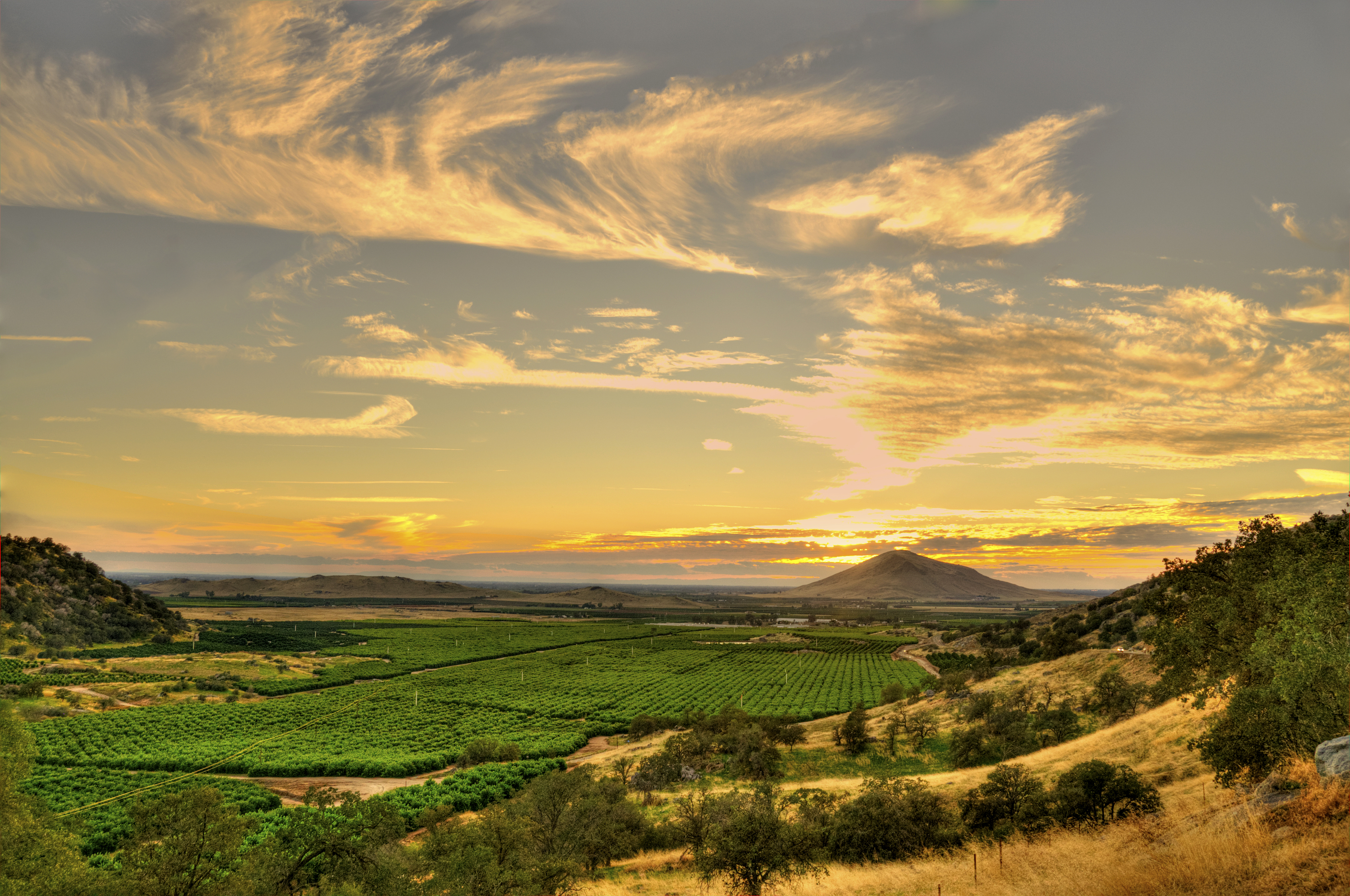 SIGNATURED Dynamic Films (No Music)