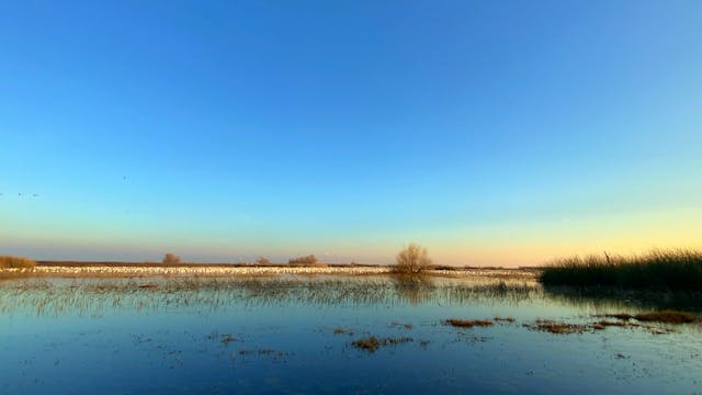 Merced National Wildlife Refuge