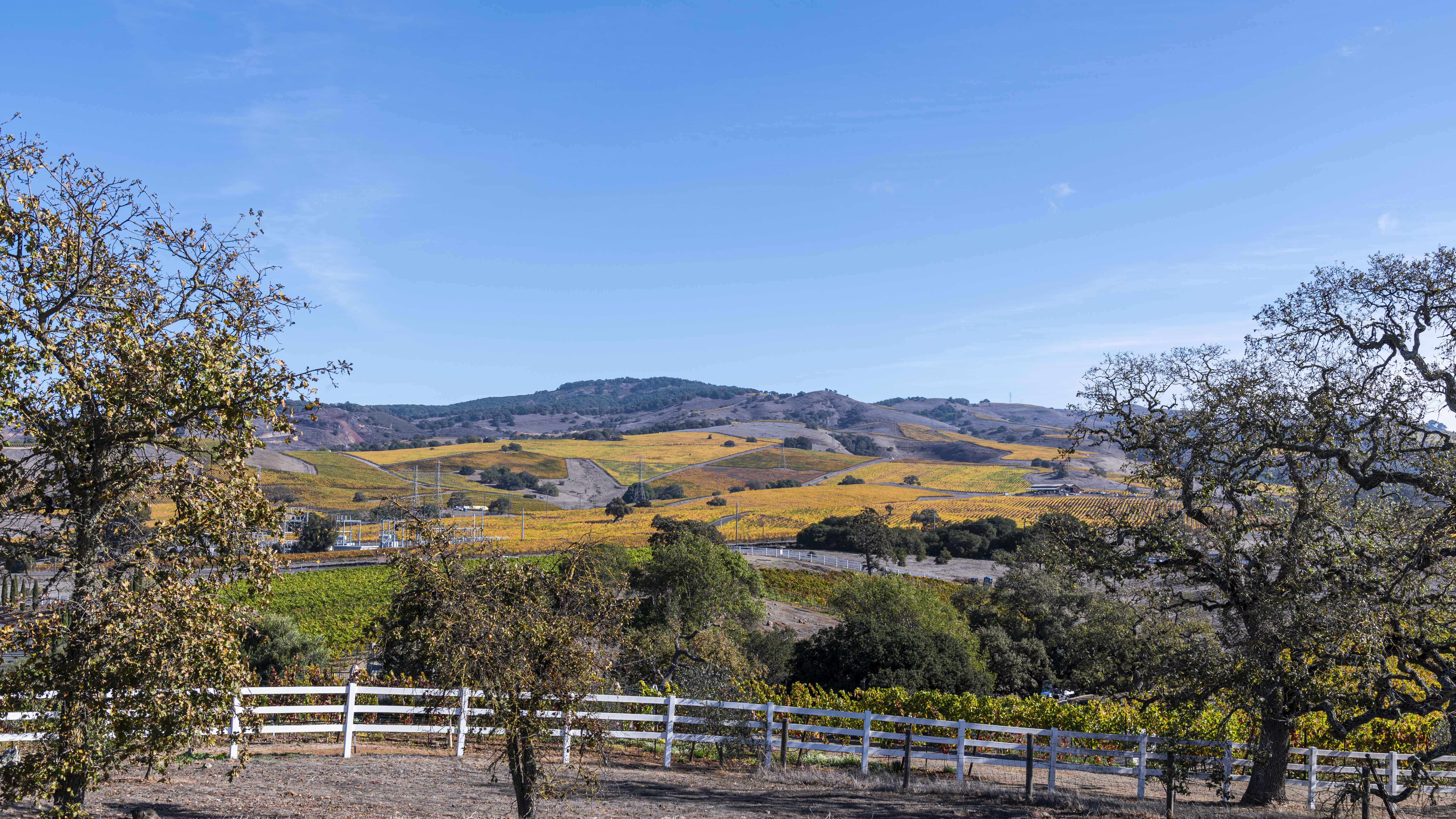 Napa Valley Short Film