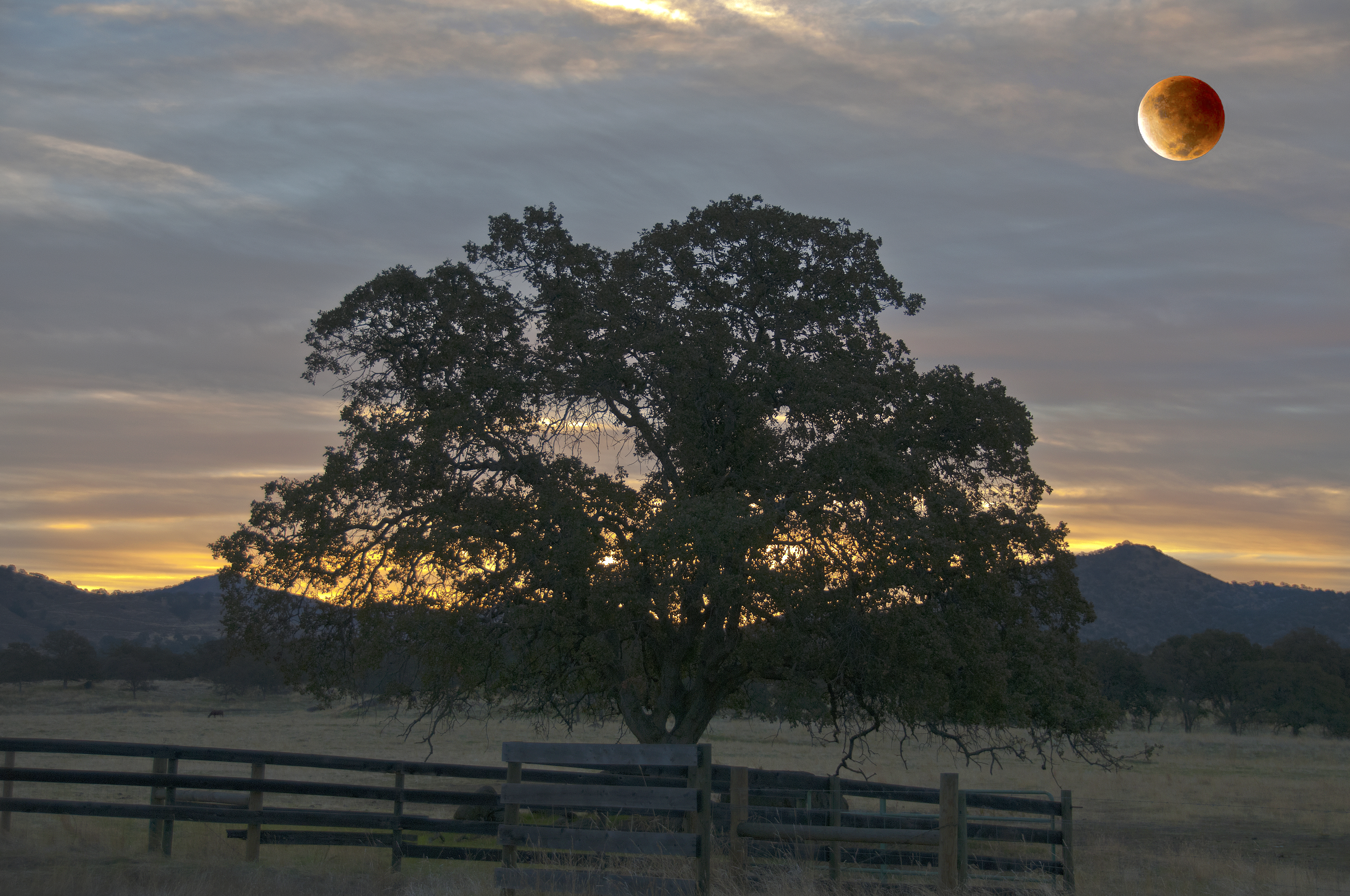 Eastern Sierra Nevada Fall Colors