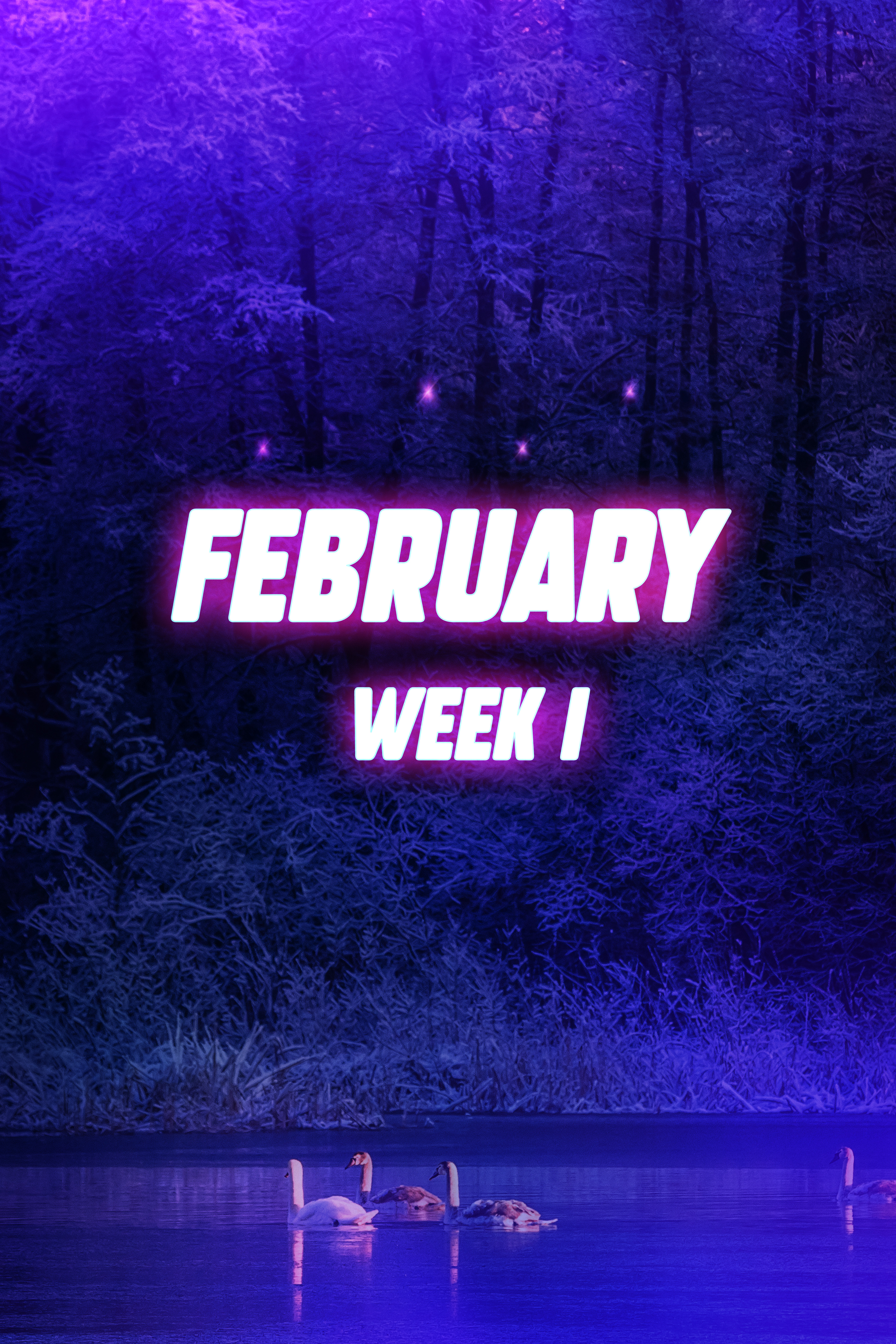 FEBRUARY Week 1
