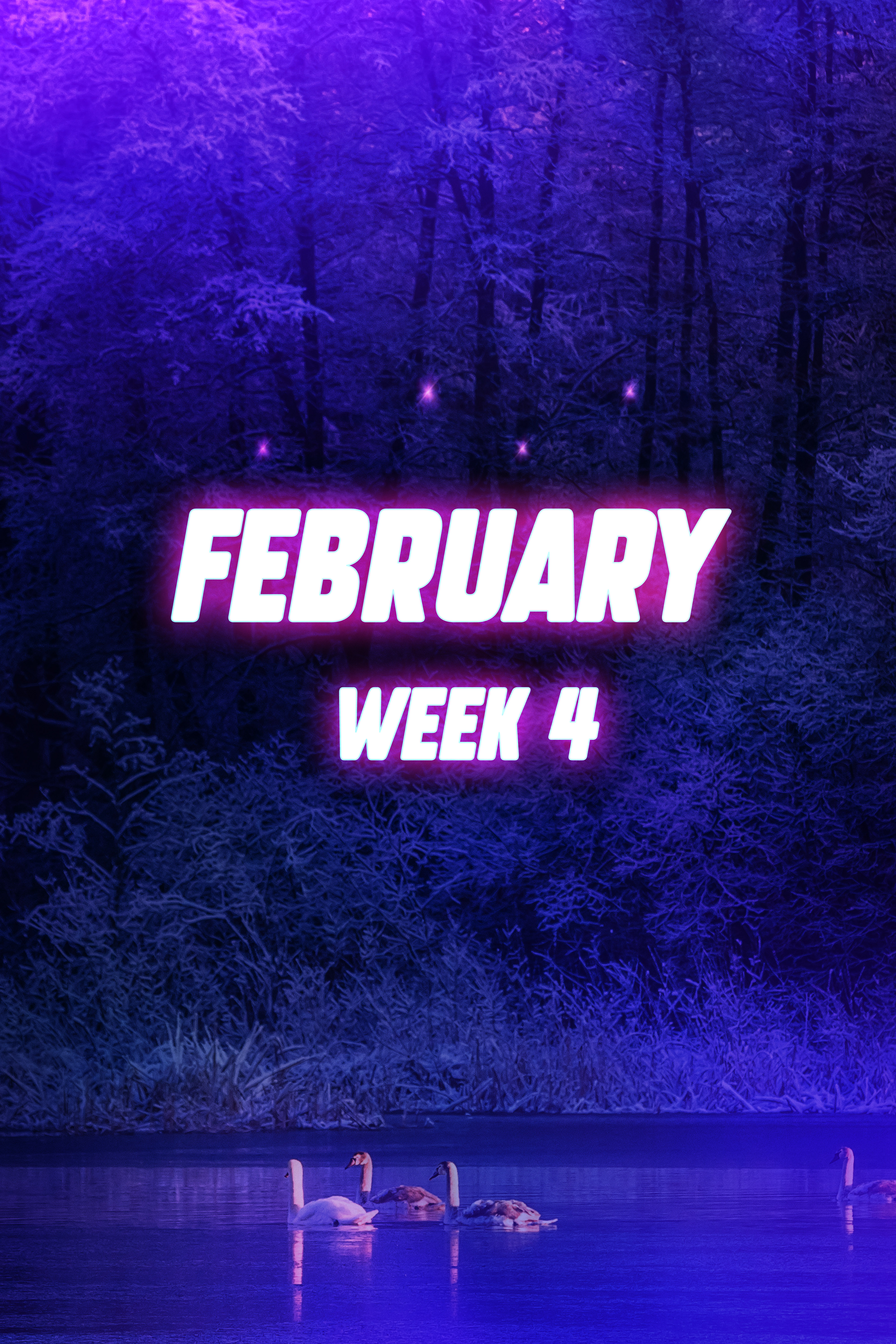 FEBRUARY Week 4