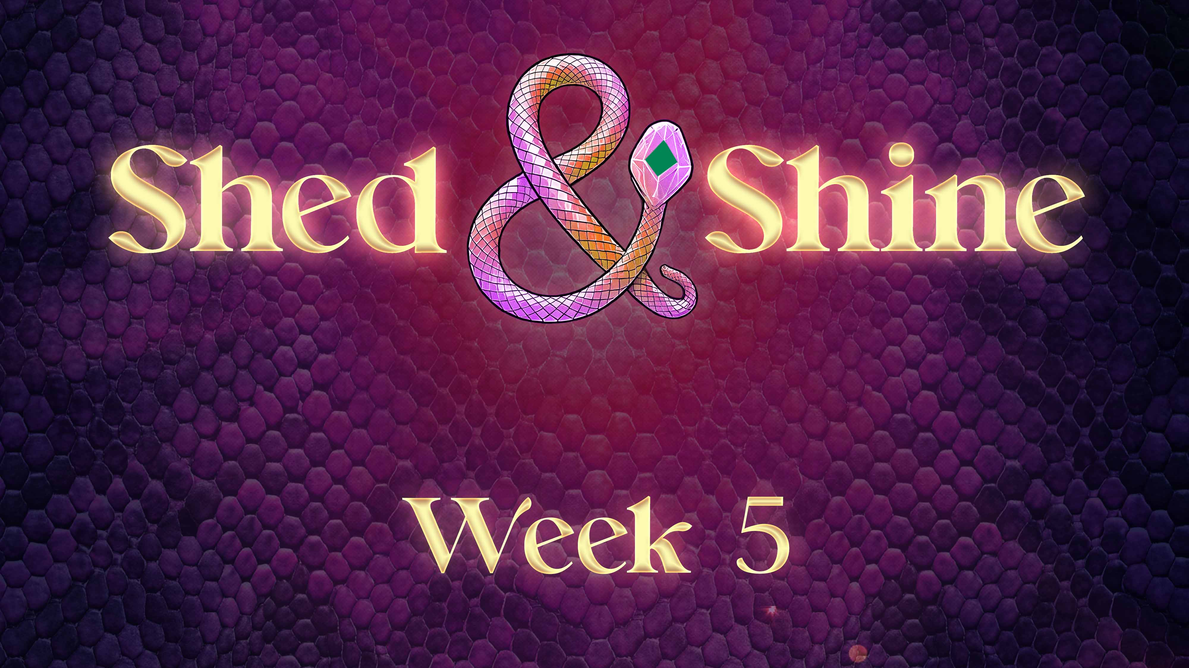 Shed and Shine Week 5