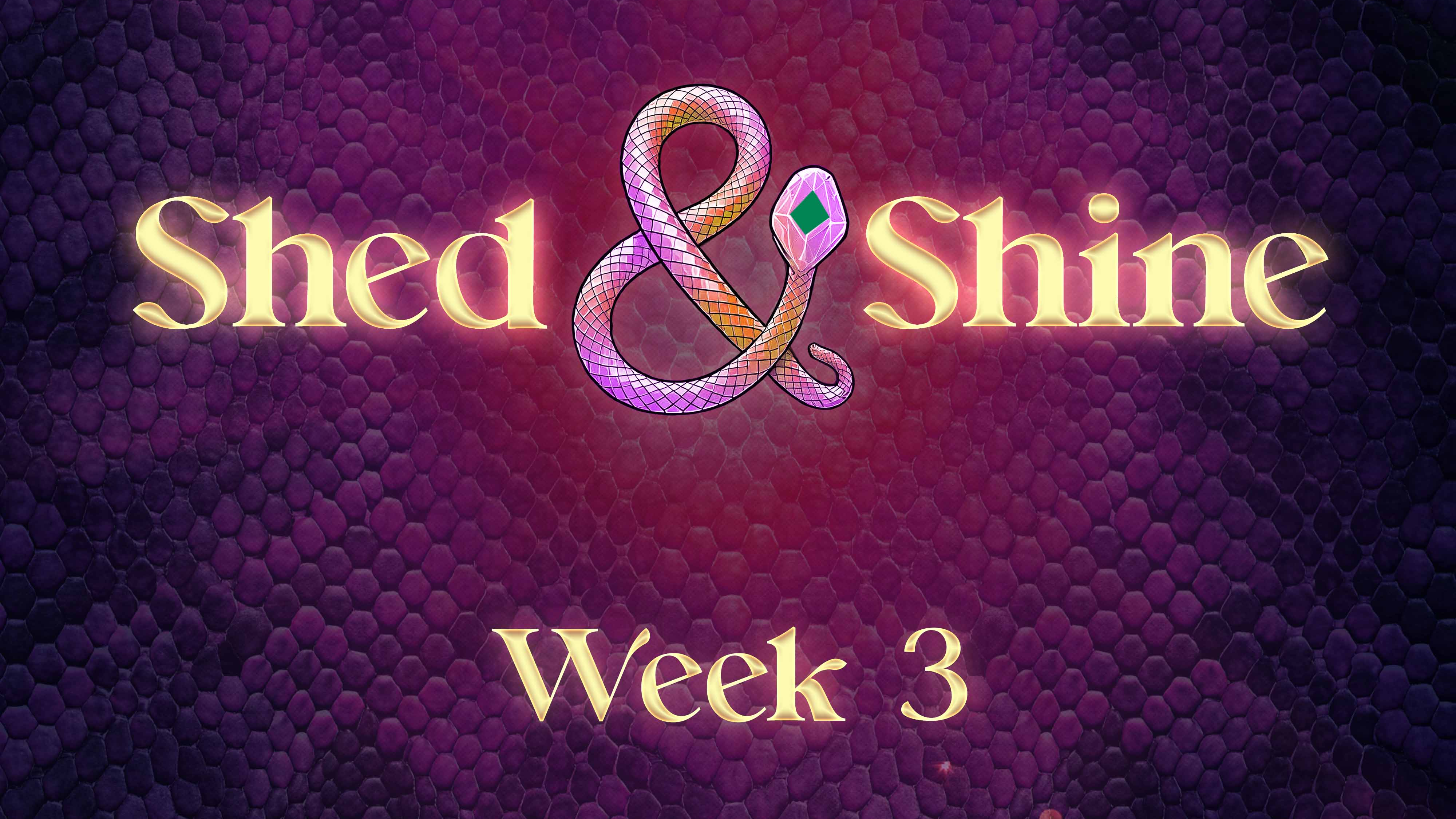 Shed and Shine Week 3