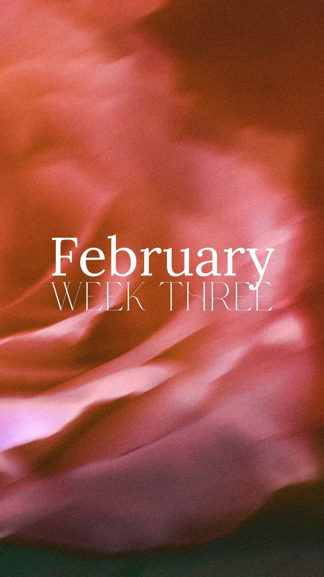 FEBRUARY Week 3