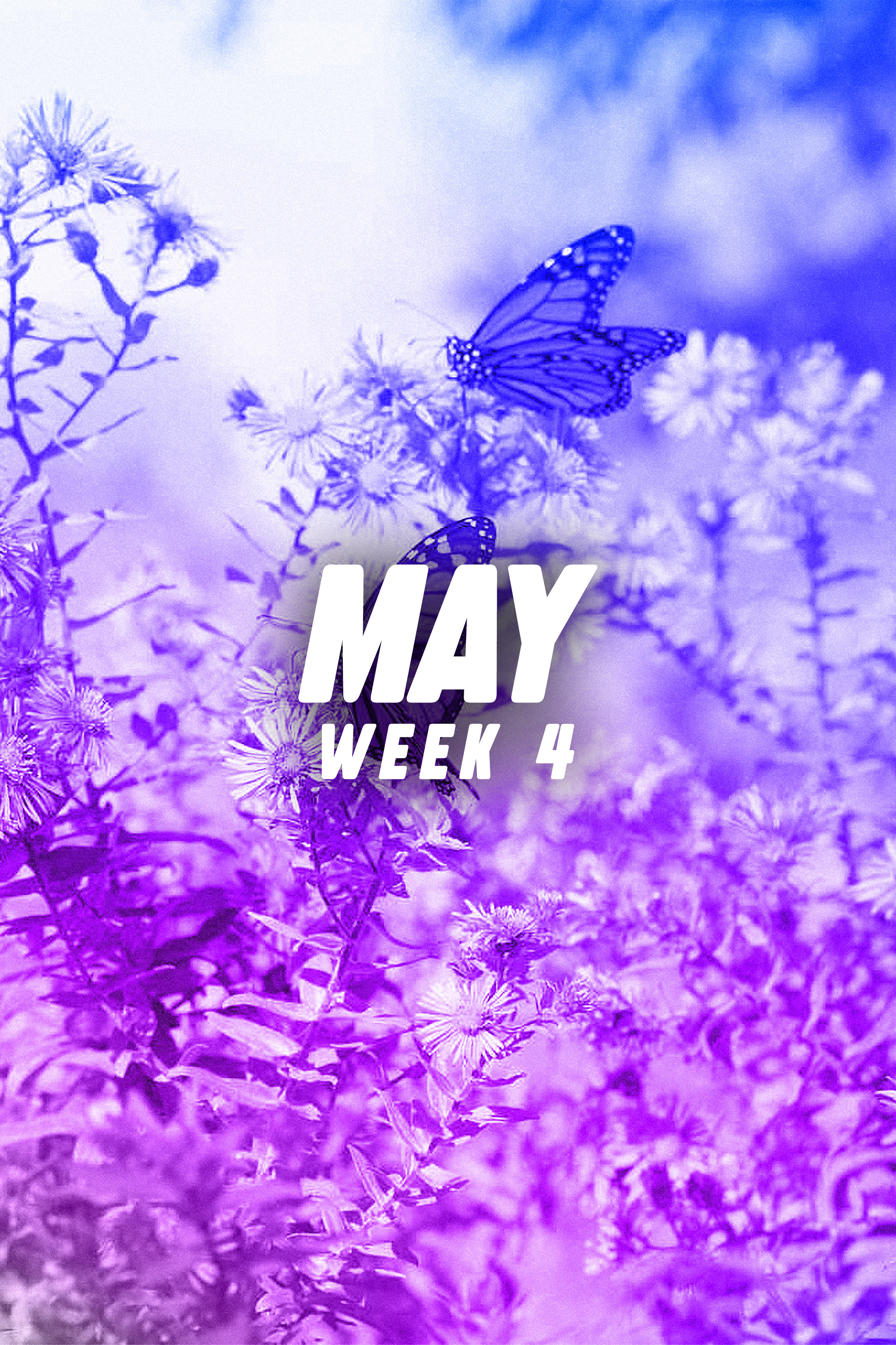 MAY Week 4